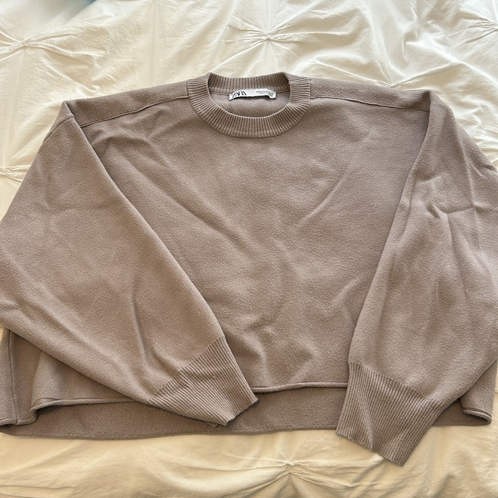 Zara Bat Sleeve Sweater